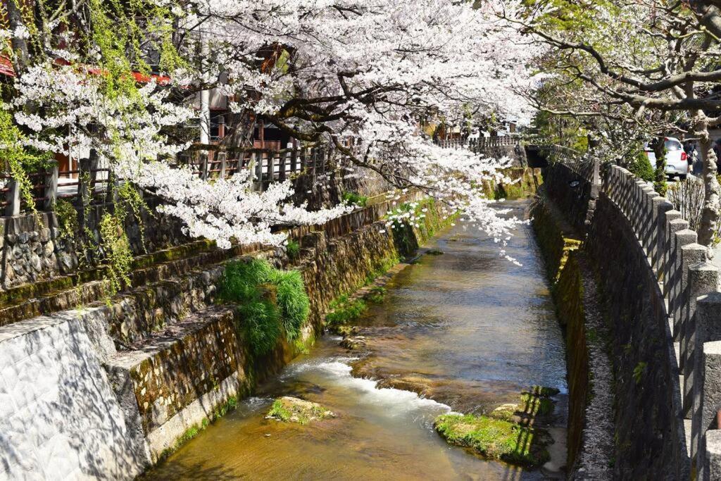 Komorebi/こもれび Takayama  Exterior foto